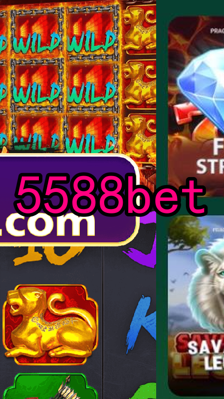 Bônus e Promoções